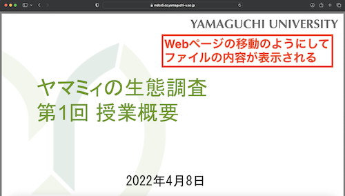 file_access02