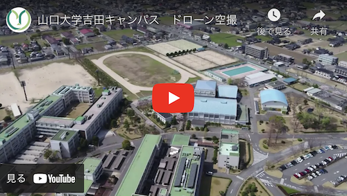 video_embed01