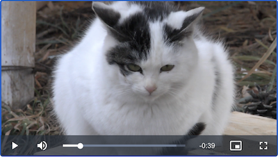 video_simplefile02